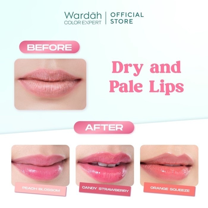 wardah hydrabalm lip care 4g spf 15/pelembab bibir wardah hydrabalm lip care 4g spf 15/pelembab bibir