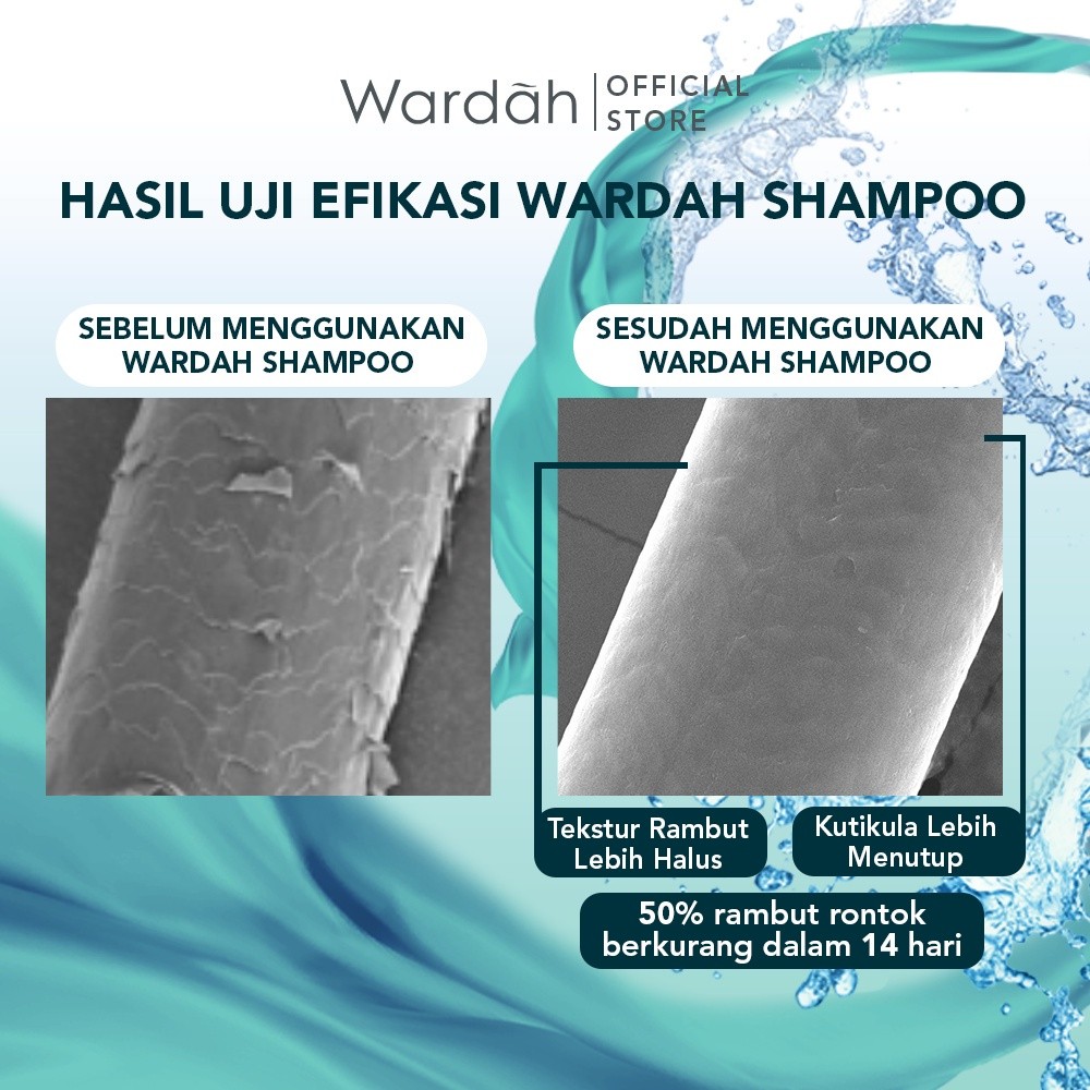 wardah shampoo & conditioner 170ml | hairfall treatment | nutri shine | anti dandruff | daily fresh wardah shampoo & conditioner 170ml | hairfall treatment | nutri shine | anti dandruff | daily fresh